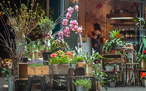 Garden Centres