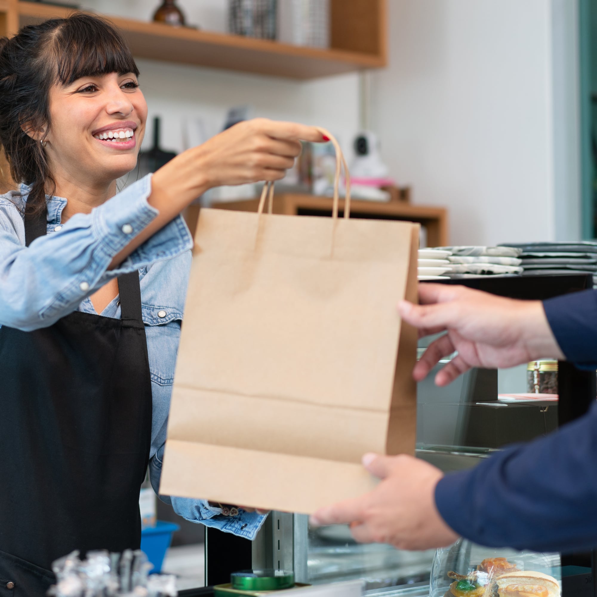 Brown Matt Kraft Paper Carrier Bags with Twisted Handles