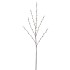 Pussy Willow Branch - 40 x 129cm