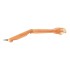 Articulated Female Mannequin Arms - Light Wood