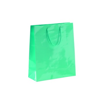 Aqua Laminated Gloss Paper Carrier Bags - 25 x 30 + 9cm