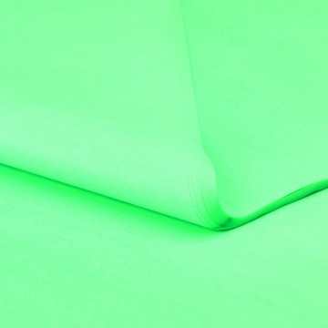 Pale Green Tissue Paper - 50 x 75cm