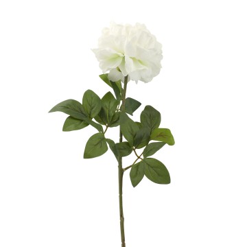 Cream Artificial Peony Rose On Stem - 72 x 34 x 16cm