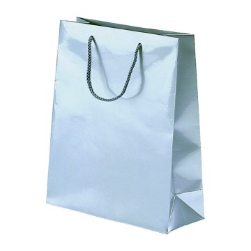 Silver Laminated Gloss Paper Carrier Bags - 25 x 30 + 9cm