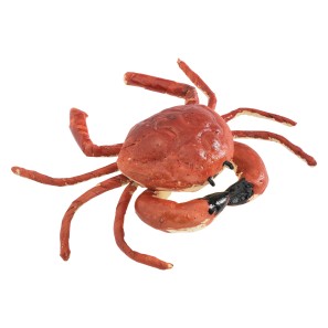 Foam Crab Prop - Red - 5 x 15 x 15cm