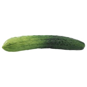 Green Cucumber - 24cm