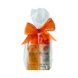 Clear Cellophane Gift Bags