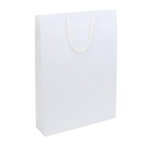 White Kraft Paper Carrier Bags