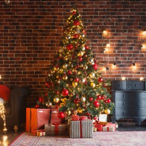 Christmas Trees & Accessories