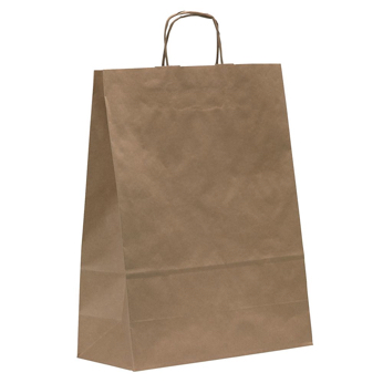 Eco-Friendly Brown Paper Twisted Handled Bags