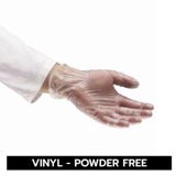 Vinyl Gloves - Powder Free